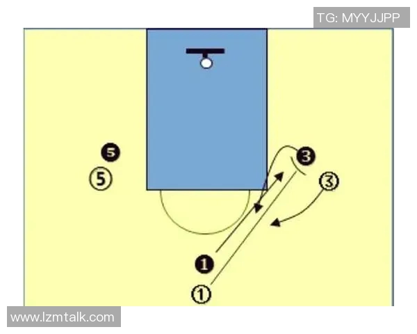 深入分析杭州篮球队的防守策略与战术特点